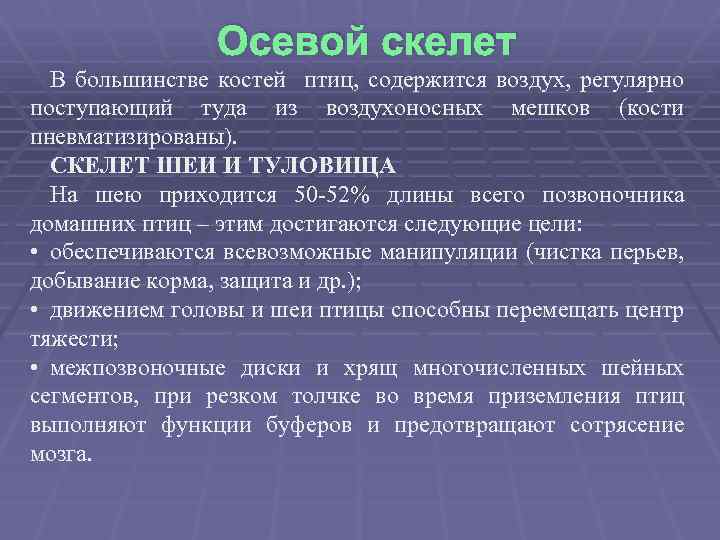 Осевой скелет В большинстве костей птиц, содержится воздух, регулярно поступающий туда из воздухоносных мешков