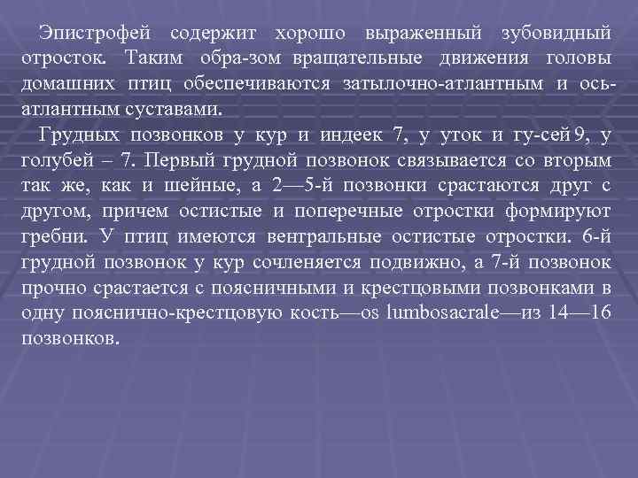 Эпистрофей содержит хорошо выраженный зубовидный отросток. Таким обра зом вращательные движения головы домашних птиц