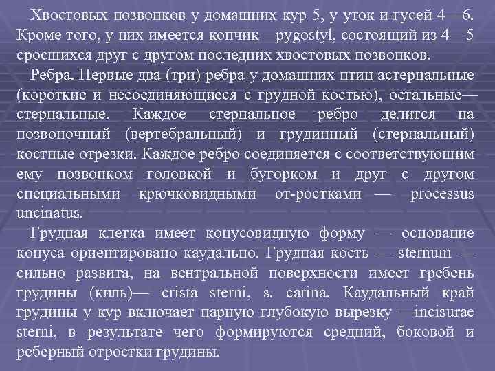 Хвостовых позвонков у домашних кур 5, у уток и гусей 4— 6. Кроме того,