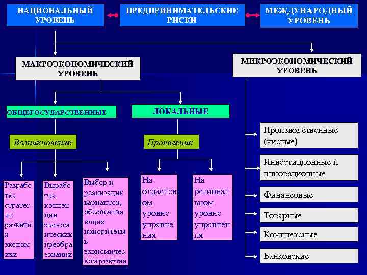 НАЦИОНАЛЬНЫЙ УРОВЕНЬ ПРЕДПРИНИМАТЕЛЬСКИЕ РИСКИ МИКРОЭКОНОМИЧЕСКИЙ УРОВЕНЬ МАКРОЭКОНОМИЧЕСКИЙ УРОВЕНЬ ОБЩЕГОСУДАРСТВЕННЫЕ Возникновение Разрабо тка стратег ии