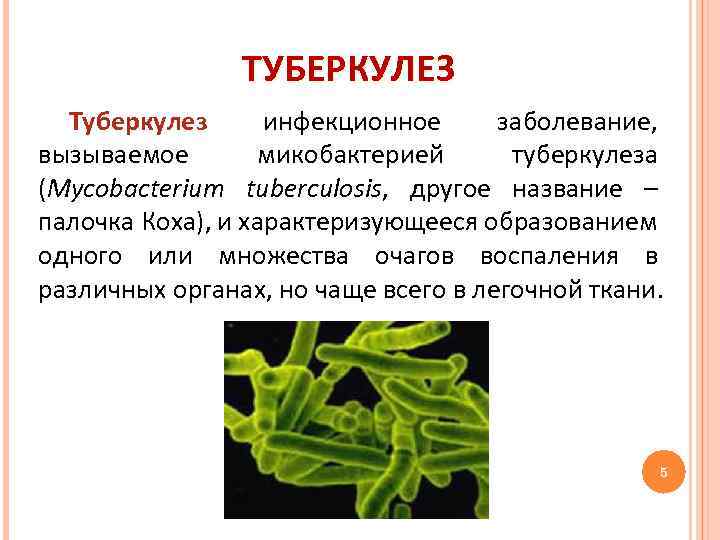 ТУБЕРКУЛЕЗ Туберкулез инфекционное заболевание, вызываемое микобактерией туберкулеза (Mycobacterium tuberculosis, другое название – палочка Коха),