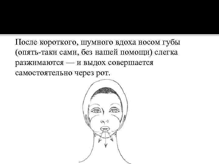 После короткого, шумного вдоха носом губы (опять-таки сами, без нашей помощи) слегка разжимаются —