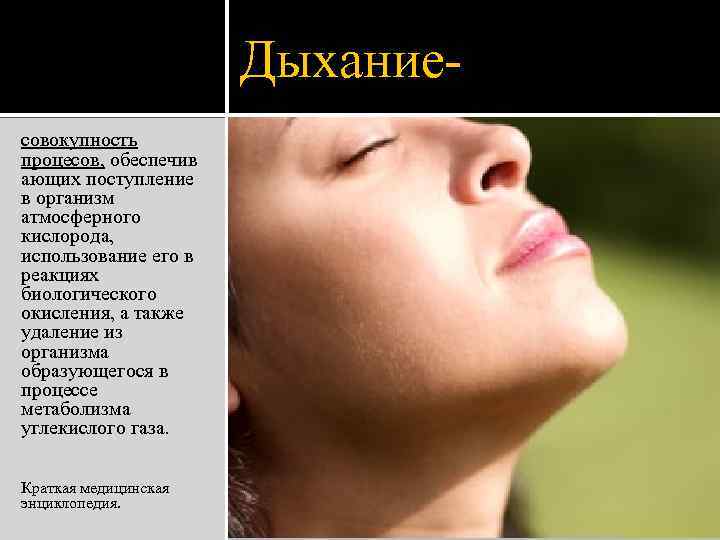 Дыхание- совокупность процесов, обеспечив ающих поступление в организм атмосферного кислорода, использование его в реакциях