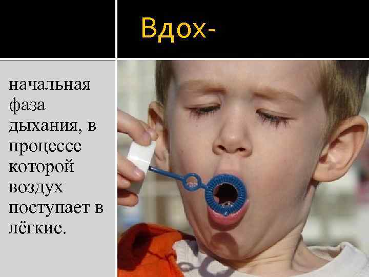 Вдохначальная фаза дыхания, в процессе которой воздух поступает в лёгкие. 