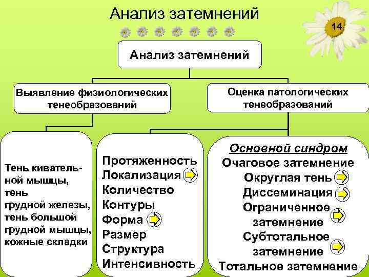 Анализ затемнений 14 Анализ затемнений Выявление физиологических тенеобразований Тень кивательной мышцы, тень грудной железы,