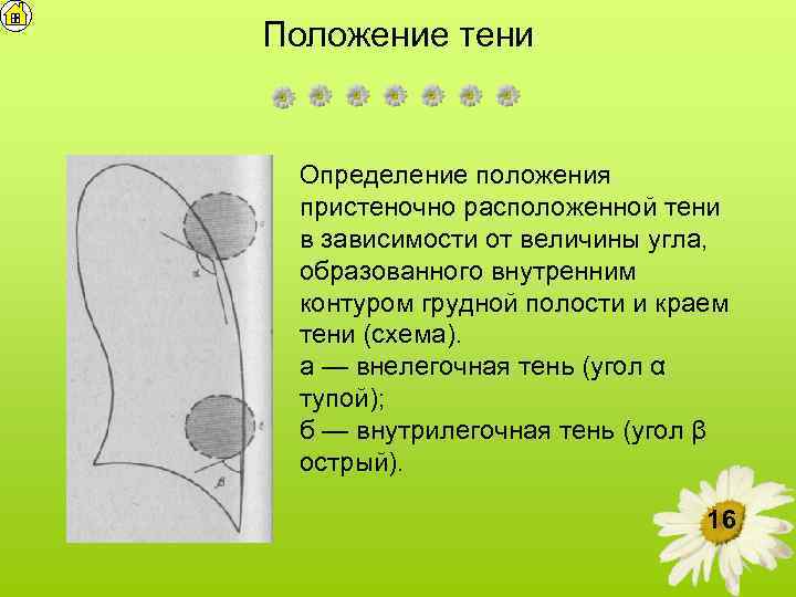 Положение тени Определение положения пристеночно расположенной тени в зависимости от величины угла, образованного внутренним