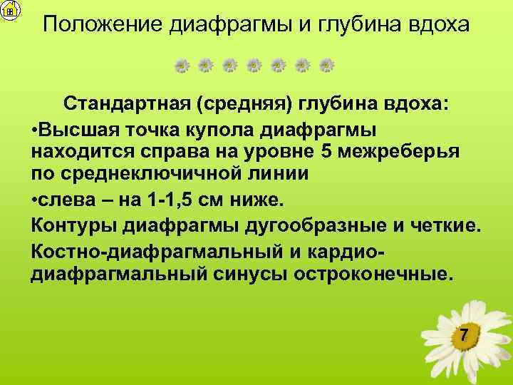 Положение диафрагмы и глубина вдоха Стандартная (средняя) глубина вдоха: • Высшая точка купола диафрагмы