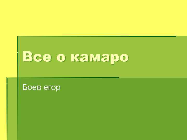 Все о камаро Боев егор 