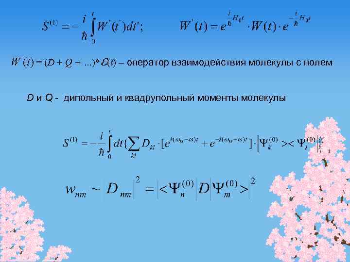 W (t) = (D + Q + …)* (t) – оператор взаимодействия молекулы с