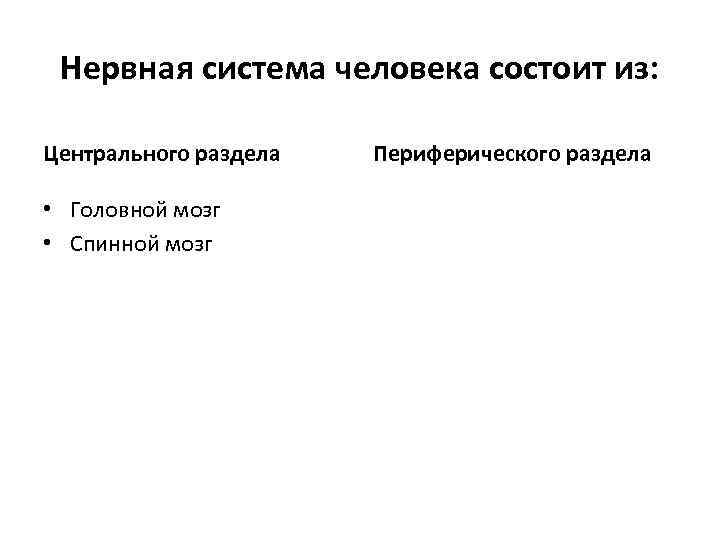 Нервная система человека состоит из: Центрального раздела • Головной мозг • Спинной мозг Периферического