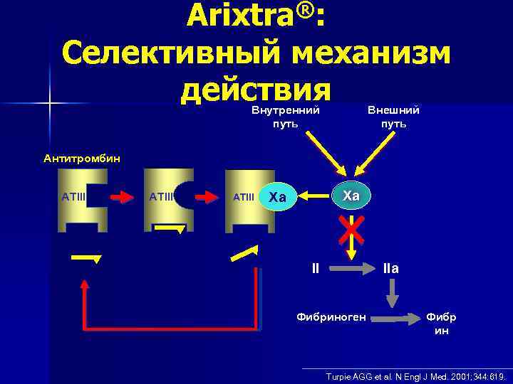 Arixtra®: Селективный механизм действия Внутренний путь Внешний путь Антитромбин ATIII Arixtra® ATIII Xa Xa