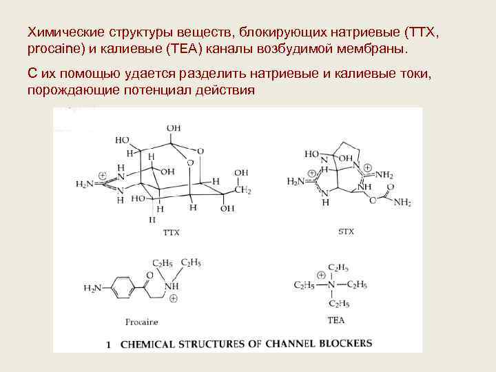 Химические структуры веществ, блокирующих натриевые (TTX, procaine) и калиевые (ТЕА) каналы возбудимой мембраны. С