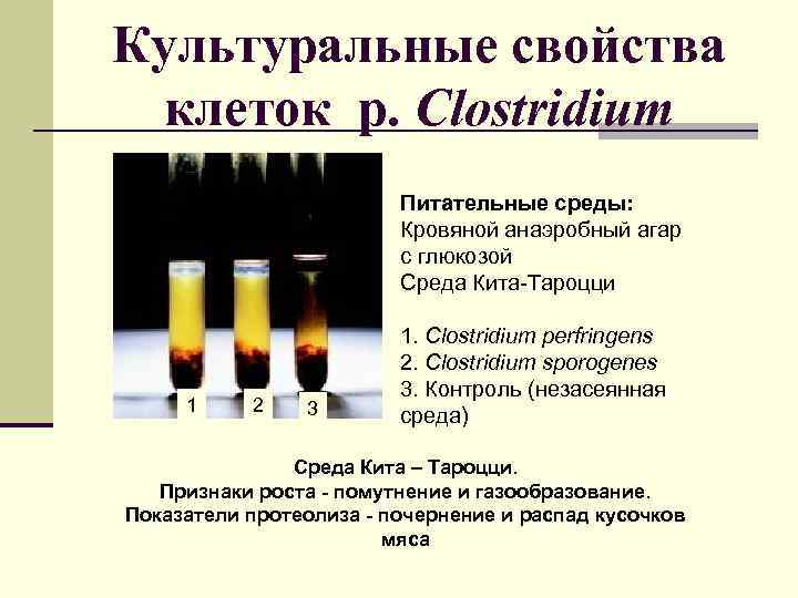 Культуральные свойства клеток р. Clostridium Питательные среды: Кровяной анаэробный агар с глюкозой Среда Кита-Тароцци