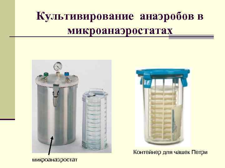 Культивирование анаэробов в микроанаэростатах Контейнер для чашек Петри микроанаэростат 