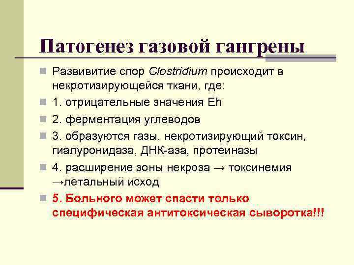 Патогенез газовой гангрены n Развивитие спор Clostridium происходит в n n n некротизирующейся ткани,