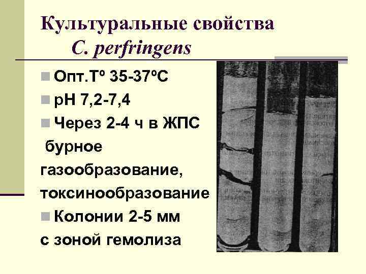 Культуральные свойства C. perfringens n Опт. Тº 35 -37ºС n р. Н 7, 2