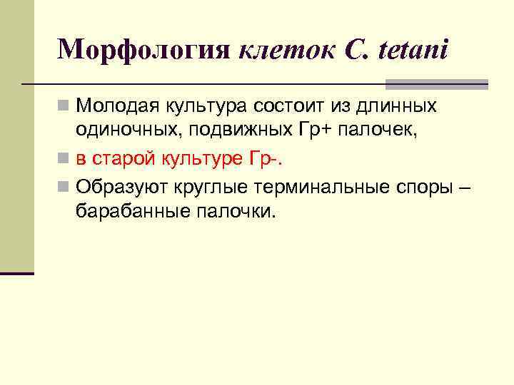 Морфология клеток C. tetani n Молодая культура состоит из длинных одиночных, подвижных Гр+ палочек,