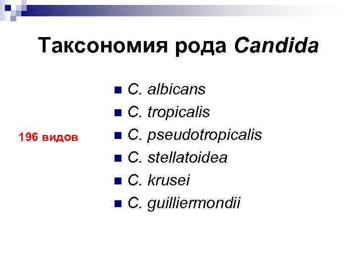Таксономия рода Candida C. albicans n C. tropicalis n C. pseudotropicalis n C. stellatoidea