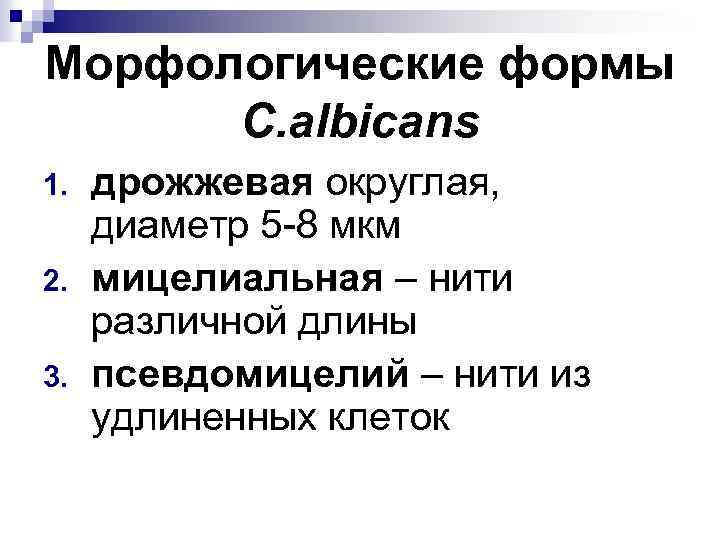Морфологические формы C. albicans 1. 2. 3. дрожжевая округлая, диаметр 5 -8 мкм мицелиальная