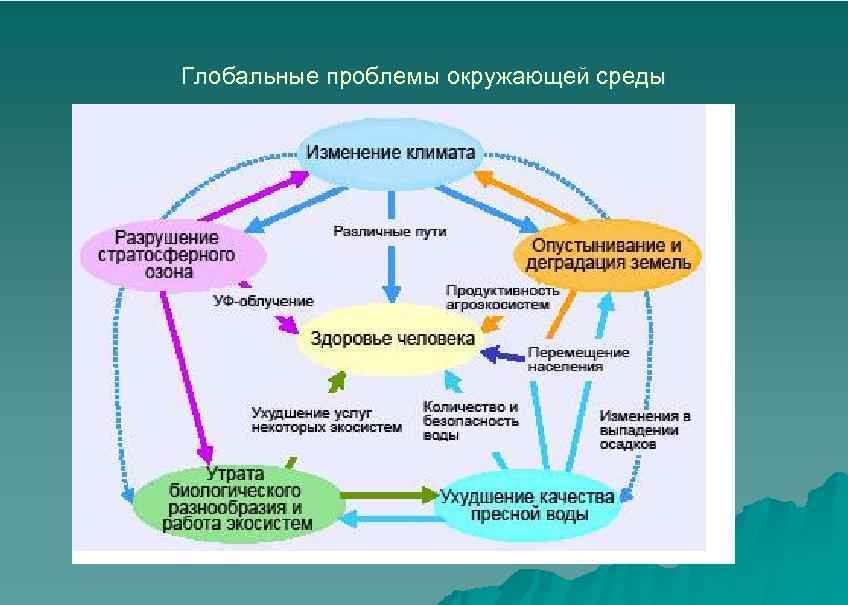 Глобальные проблемы окружающей среды 
