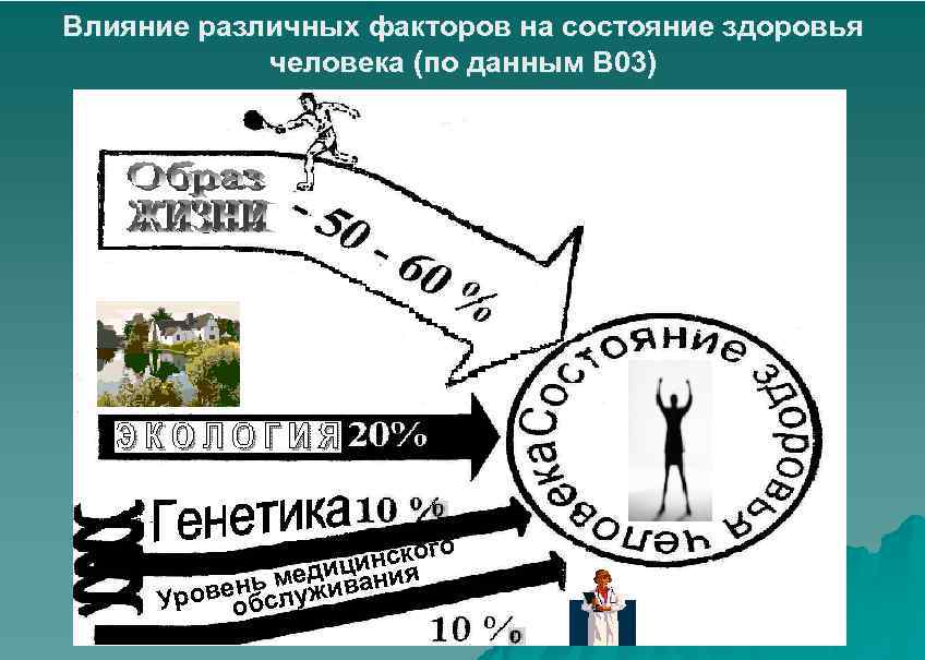 Влияние различных факторов на состояние здоровья человека (по данным В 03) го инско ц