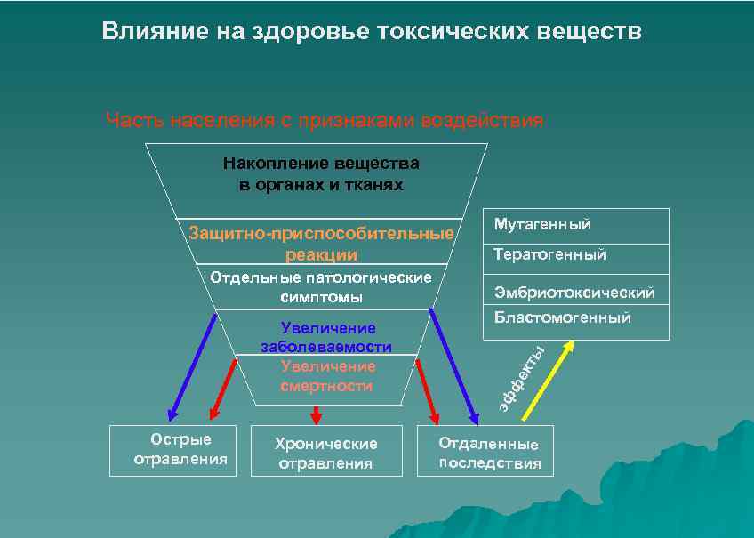 Накопление веществ. Наиболее частые проявления воздействия токсических веществ. Последствия токсичных веществ. Накопление токсичных веществ. Симптомы воздействия токсических веществ.