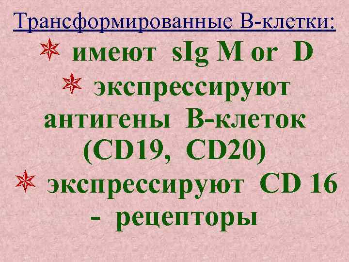 Трансформированные В-клетки: имеют s. Ig M or D экспрессируют антигены В-клеток (CD 19, CD