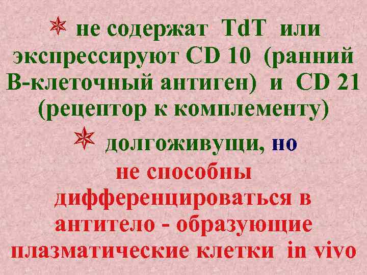  не содержат Td. T или экспрессируют CD 10 (ранний В-клеточный антиген) и CD