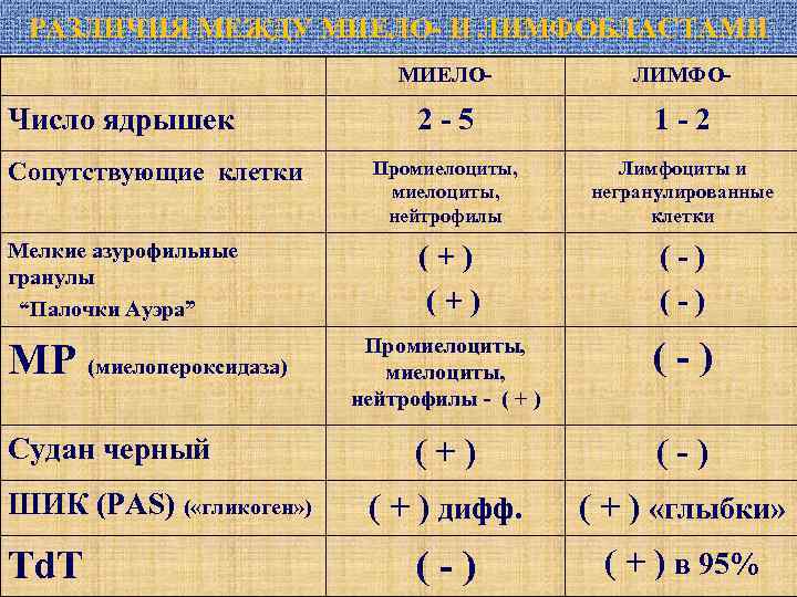 РАЗЛИЧИЯ МЕЖДУ МИЕЛО- И ЛИМФОБЛАСТАМИ МИЕЛО- Число ядрышек Сопутствующие клетки Мелкие азурофильные гранулы “Палочки