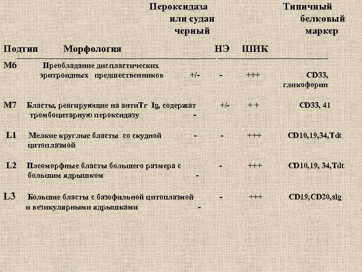 Пероксидаза или судан черный Подтип Морфология Типичный белковый маркер НЭ ШИК - +++ ________________________________________