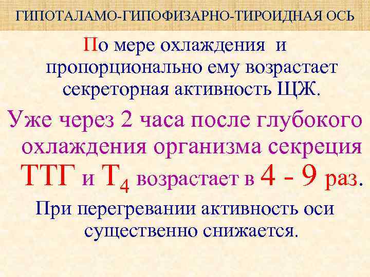 ГИПОТАЛАМО-ГИПОФИЗАРНО-ТИРОИДНАЯ ОСЬ По мере охлаждения и пропорционально ему возрастает секреторная активность ЩЖ. Уже через