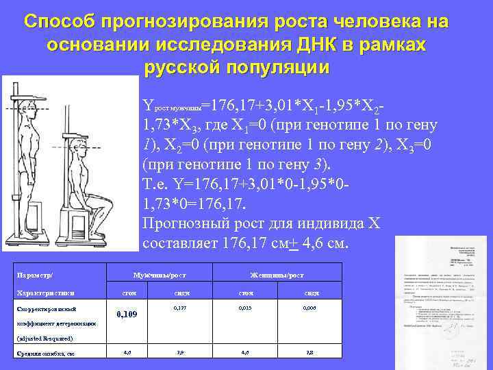 Способ прогнозирования роста человека на основании исследования ДНК в рамках русской популяции Yрост мужчины=176,