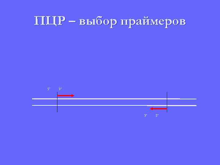 ПЦР – выбор праймеров 5’ 3’ 5’ 