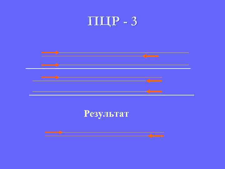 ПЦР - 3 Результат 