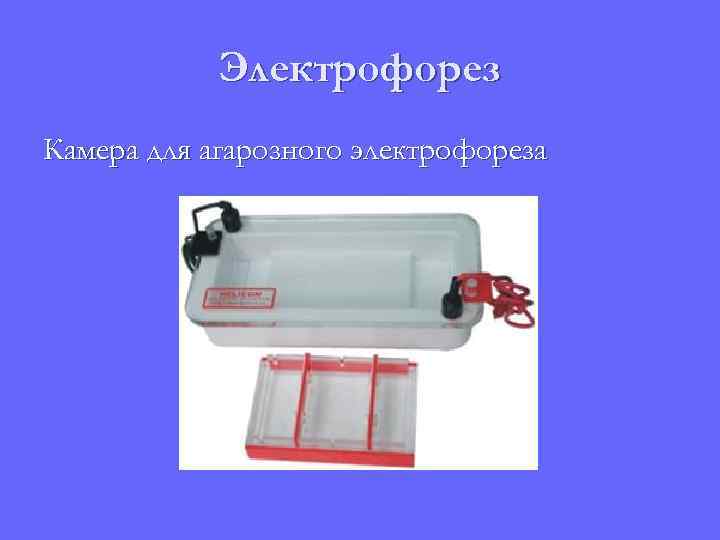 Электрофорез Камера для агарозного электрофореза 