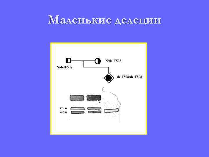 Маленькие делеции 