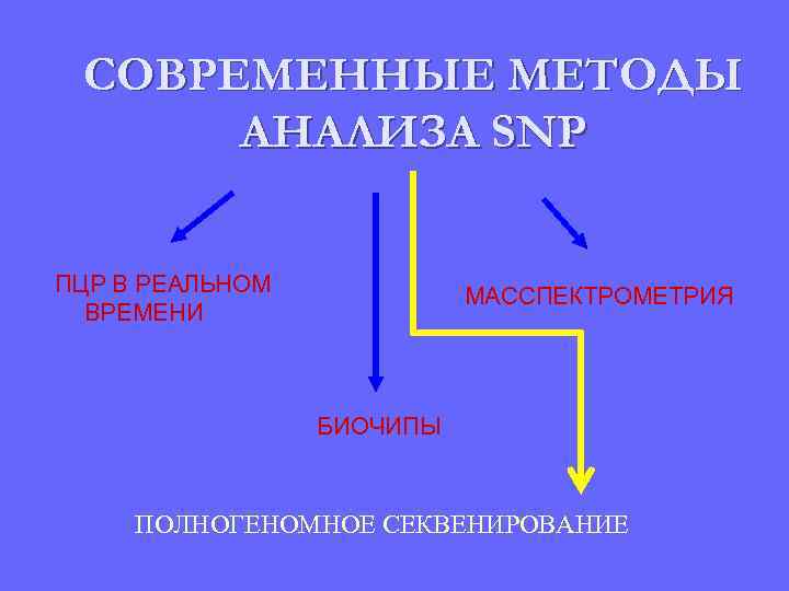 СОВРЕМЕННЫЕ МЕТОДЫ АНАЛИЗА SNP ПЦР В РЕАЛЬНОМ ВРЕМЕНИ МАССПЕКТРОМЕТРИЯ БИОЧИПЫ ПОЛНОГЕНОМНОЕ СЕКВЕНИРОВАНИЕ 