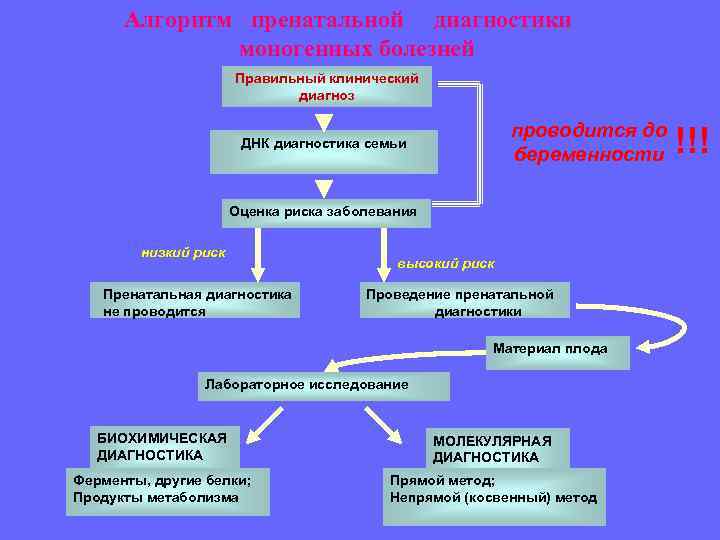 Генные болезни схема