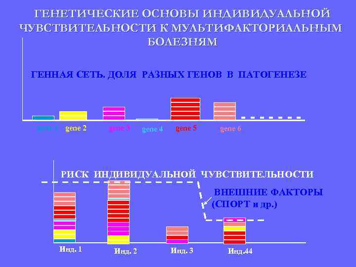 ГЕНЕТИЧЕСКИЕ ОСНОВЫ ИНДИВИДУАЛЬНОЙ ЧУВСТВИТЕЛЬНОСТИ К МУЛЬТИФАКТОРИАЛЬНЫМ БОЛЕЗНЯМ ГЕННАЯ СЕТЬ. ДОЛЯ РАЗНЫХ ГЕНОВ В ПАТОГЕНЕЗЕ