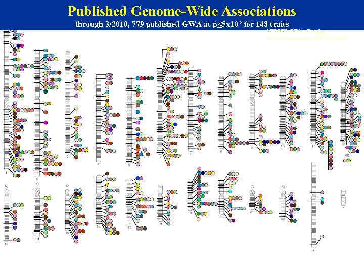Published Genome-Wide Associations through 3/2010, 779 published GWA at p<5 x 10 -8 for