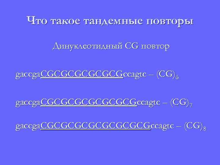 Что такое тандемные повторы Динуклеотидный CG повтор gaccga. CGCGCGccagtc – (CG)6 gaccga. CGCGCGCGccagtc –