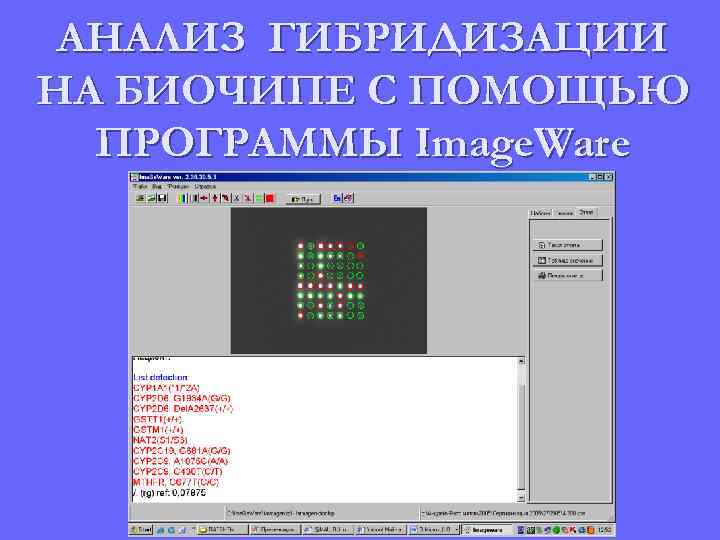 АНАЛИЗ ГИБРИДИЗАЦИИ НА БИОЧИПЕ С ПОМОЩЬЮ ПРОГРАММЫ Image. Ware 