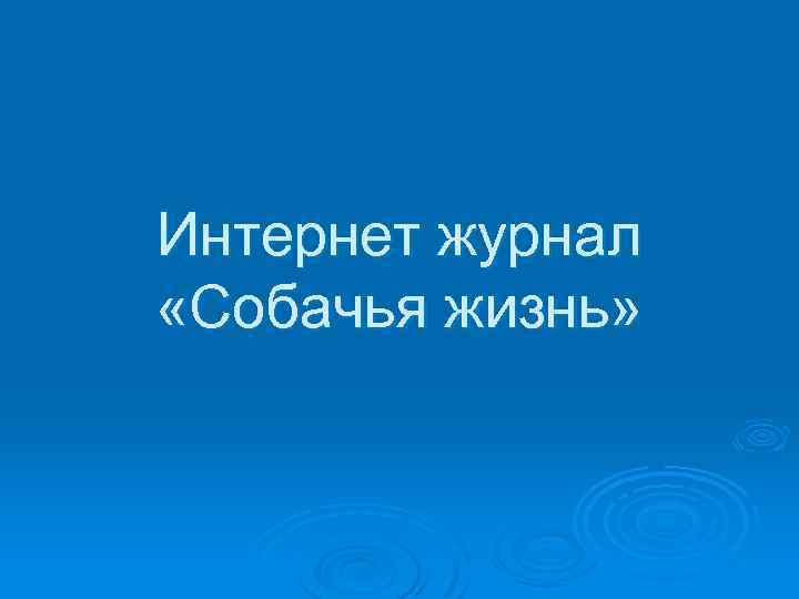 Интернет журнал «Собачья жизнь» 