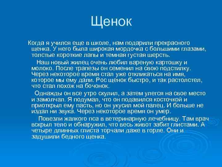 Щенок Когда я учился еще в школе, нам подарили прекрасного щенка. У него была