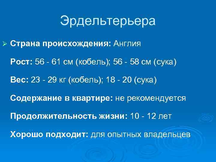 Эрдельтерьера Ø Страна происхождения: Англия Рост: 56 - 61 см (кобель); 56 - 58