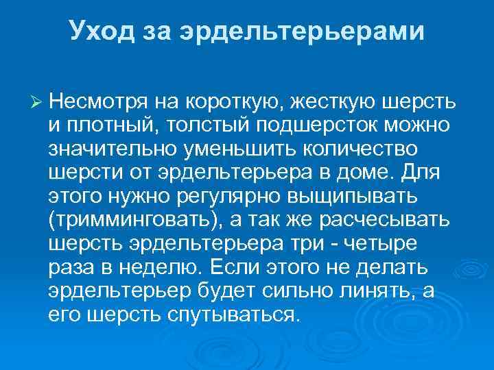 Уход за эрдельтерьерами Ø Несмотря на короткую, жесткую шерсть и плотный, толстый подшерсток можно