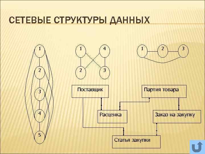 Сетевые структуры управления презентация