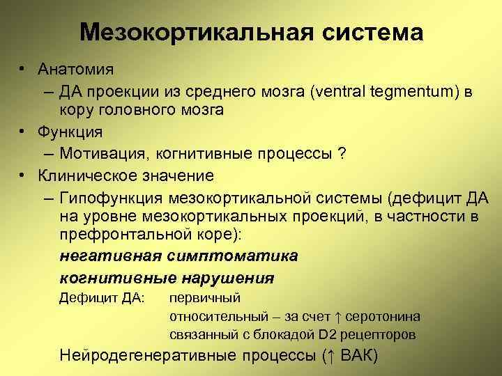 Мезокортикальная система • Анатомия – ДА проекции из среднего мозга (ventral tegmentum) в кору