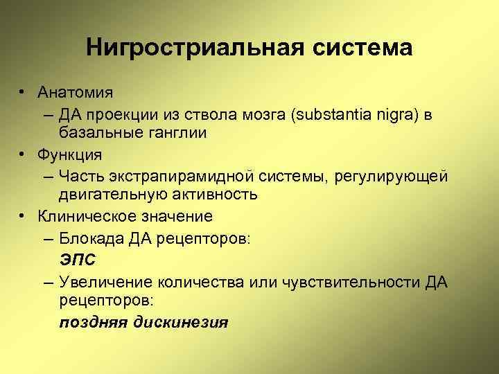 Нигростриальная система • Анатомия – ДА проекции из ствола мозга (substantia nigra) в базальные