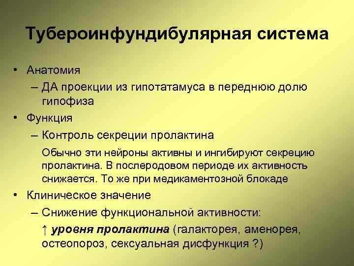 Тубероинфундибулярная система • Анатомия – ДА проекции из гипотатамуса в переднюю долю гипофиза •
